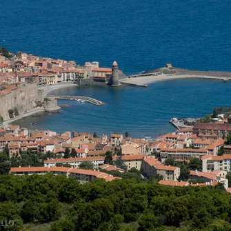 THE HEIGHTS OF COLLIOURE