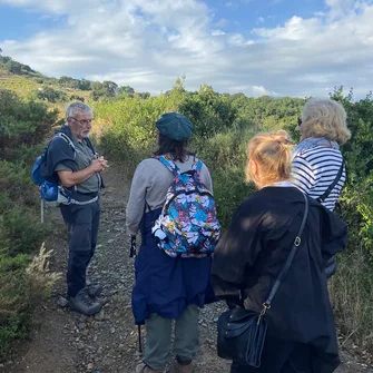 “VINOHRANDO”: WALK IN THE VINEYARDS