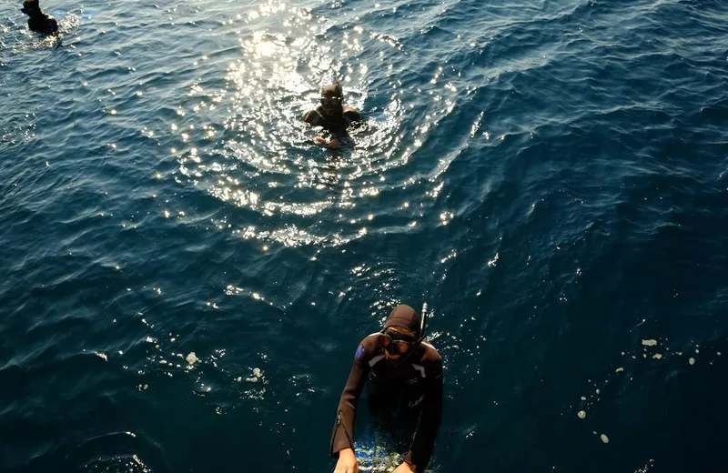 SNORKELLING TOUR “LA MOULADE”