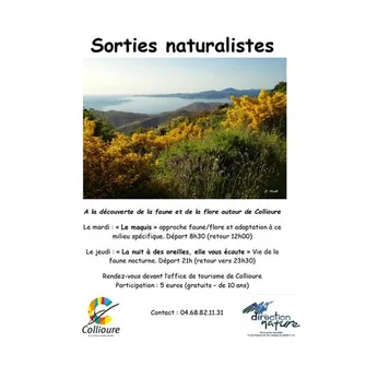 BALADES NATURALISTES