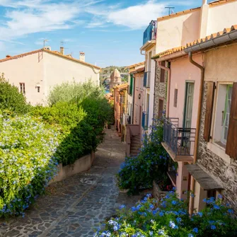 SURPRISING COLLIOURE