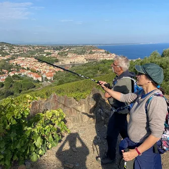 BALADE VINOHRANDO DANS LES VIGNES !