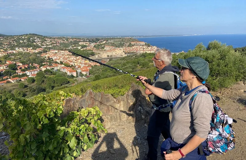 BALADE VINOHRANDO DANS LES VIGNES !