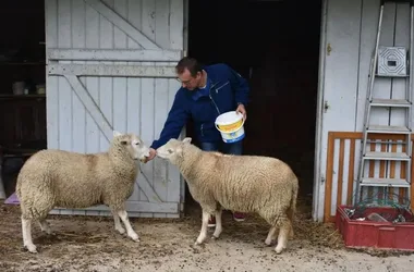 La Ferme de la Closerie des Roses