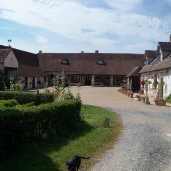 Auberge du Tranchoir