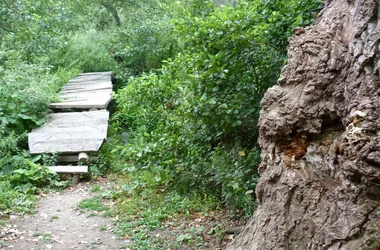 L’Île à Gaston, site naturel préservé