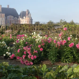 Château de La Bussière