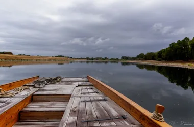 Passeurs de Loire – L’Alose