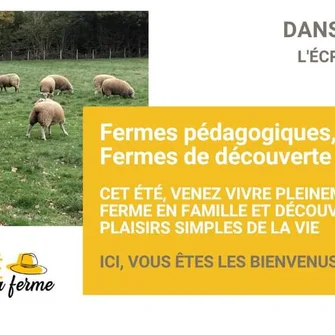 Ferme pédagogique L’Ecrin du Berger