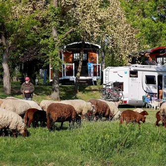 Aire de services pour camping car privée – Camping touristique de Gien