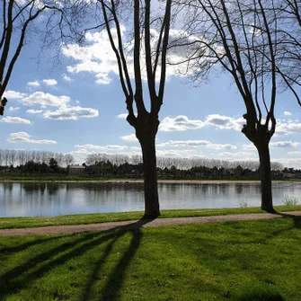 Parc du Port au Bois