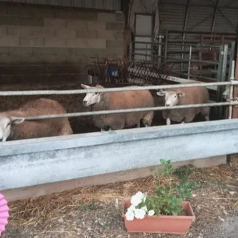 Ferme pédagogique L’Ecrin du Berger