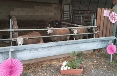 Ferme pédagogique L’Ecrin du Berger