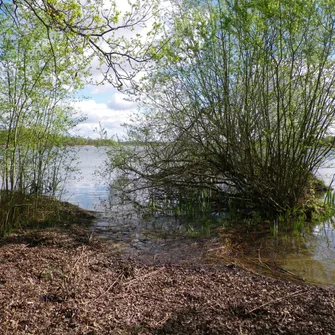 Espace naturel sensible de l’étang du Puits