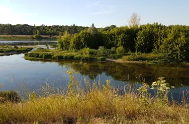 Boucle 02 – Entre vignes et vergers, de la Loire au Loiret