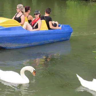 Micro-aventure : Appréciez une balade au fil de l’eau en pédalo