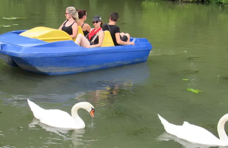 Micro-aventure : Appréciez une balade au fil de l’eau en pédalo