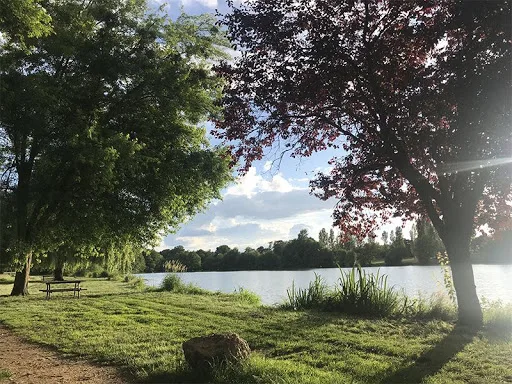 Aire de pique nique de la Plancherotte