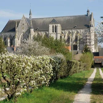 Boucle 02 – Entre vignes et vergers, de la Loire au Loiret