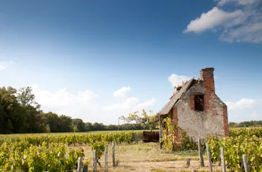 Domaine Jean Claude et Cindy Mellot