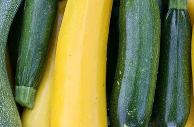 Miel et légumes bio “Du miel dans les salades”