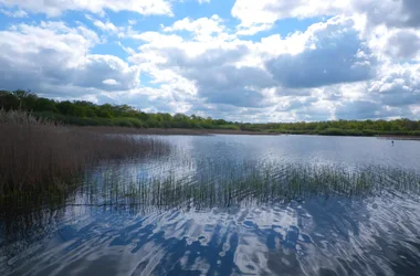 Espace naturel sensible de l’étang du Puits