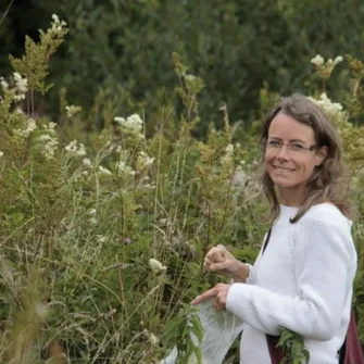 Sortie découverte des plantes sauvages comestibles en bord de Loire et canaux