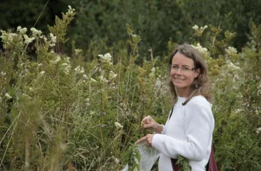 Sortie découverte des plantes sauvages comestibles en bord de Loire et canaux