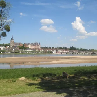 Roulottes Insolites des bords de Loire