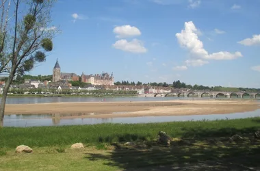 Tente le Nid Insolite des bords de Loire