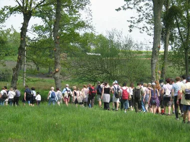 Randonnée pédestre dans la foret de Villecartier à Bazouges-La-Pérouse