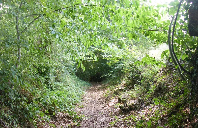9_Le Ferre_Hollow path