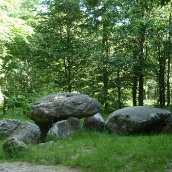 La Forêt Domaniale de Fougères