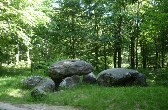 La Forêt de Fougères