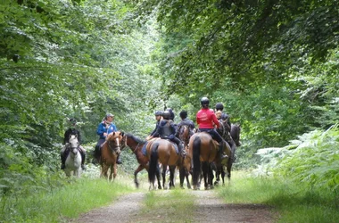 caballos-foret-fougeres-2013 (2)