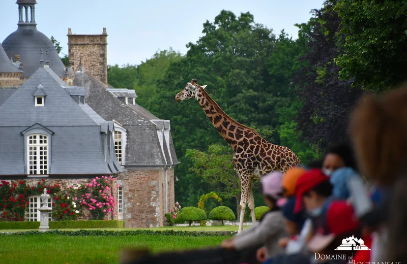 Zoo - Domaine de la Bourbansais - Pleugueneuc