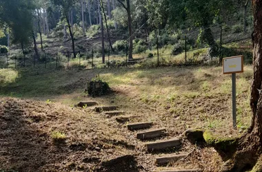 Camping la Pinède des Mées