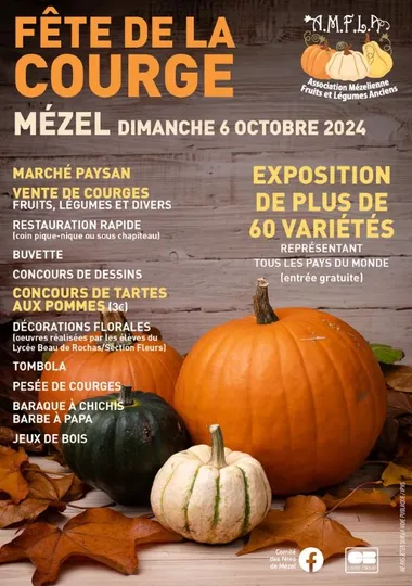 Fête de la courge