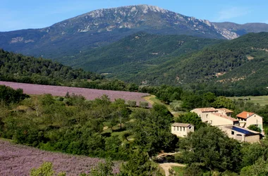 Hameau des Oraisonis