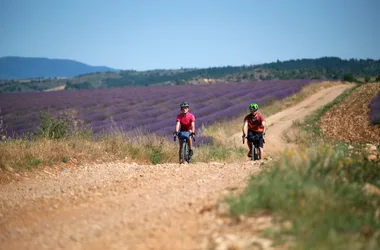 Séjour Vélo Gravel en Haute-Provence