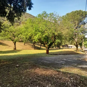 Camping la Pinède des Mées