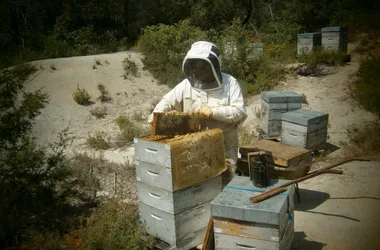 Bienenhäuser der weißen Bastide