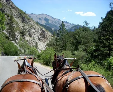 “Art in the mountains” horse-drawn carriage ride
