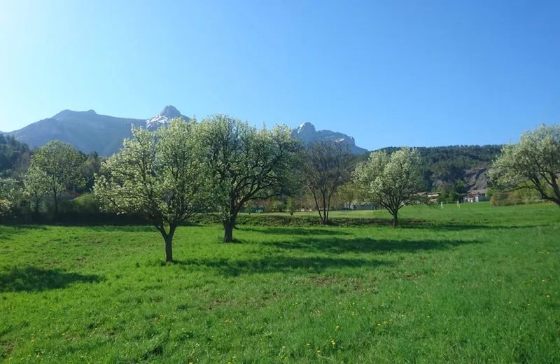 Landschaft der Sarteau-Birnenproduktion