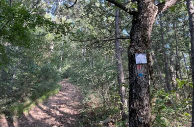 Trail N°2: Trail l'Escalo 12km - Le Pic Bernard