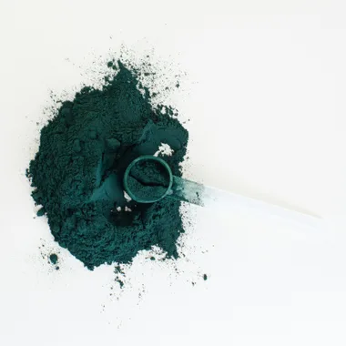 Conférence : La spiruline, le plus ancien des aliments du futur