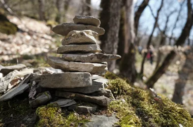 Découverte sensorielle de l’Art en Montagne – 5 jours