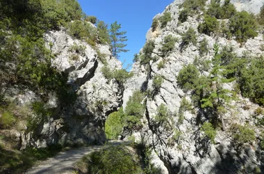 Gorges of Trevans