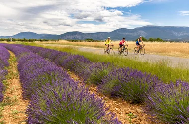 Provence-Verdon road bike tour