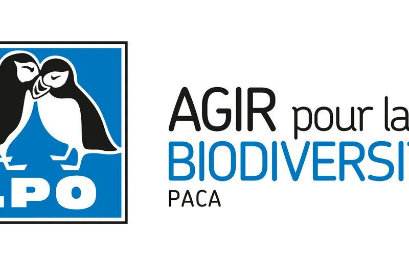 Association Ligue de protection des oiseaux – Antenne des Alpes de Haute-Provence (LPO PACA)
